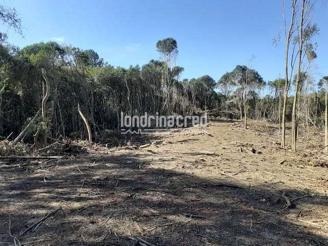 Terreno à venda 27772M², Zona Rural, Almirante Tamandaré - PR