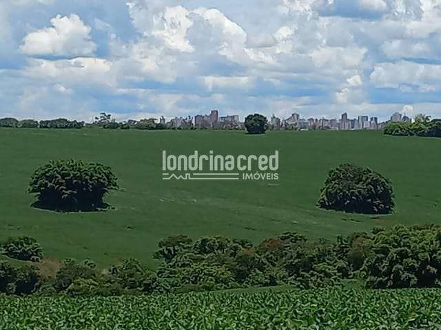 Chácara à venda 1000M², Jardim Primavera, Londrina - PR