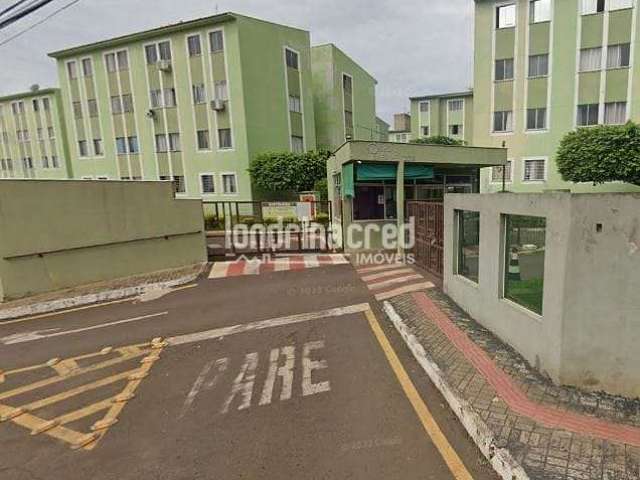 Apartamento à venda 3 Quartos, 1 Vaga, Jardim Santa Cruz, Londrina - PR | RESIDENCIAL OURO VERDE