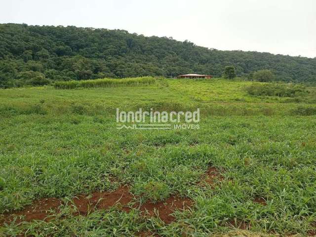 Chácara à venda 4 Quartos, 133100M², Zona Rural, Tamarana - PR