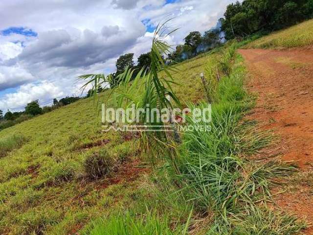 Chácara à venda 1500M², Zona Rural, Ibiporã - PR