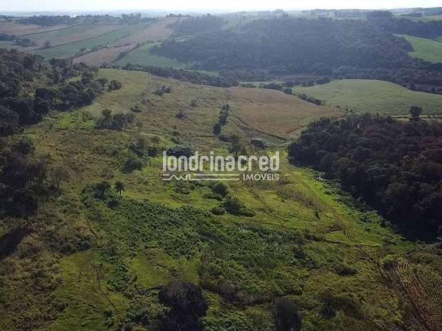 Sítio à venda, RURAL, Assaí, PR