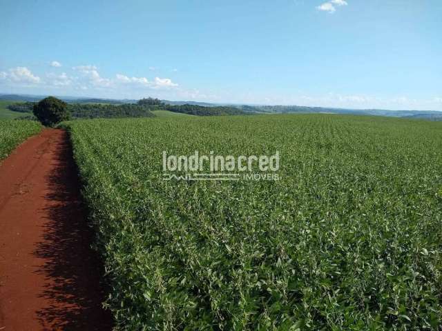 Terreno à venda, RURAL, Assaí, PR