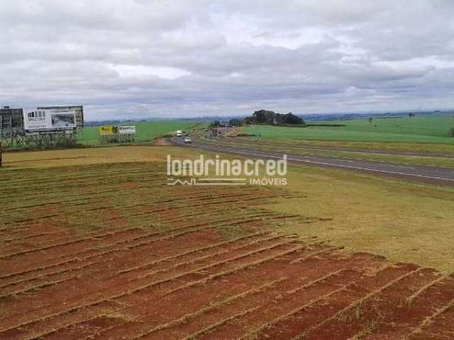 Excelente terreno 92mil metros quadrados, entre a Cidade de Rolândia e Arapongas próximo a  grandes