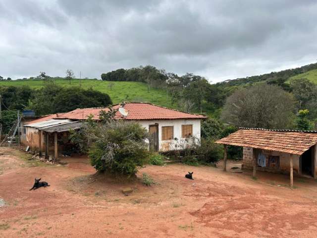 Chácara 10.000m² muito rica em água em Rio Manso