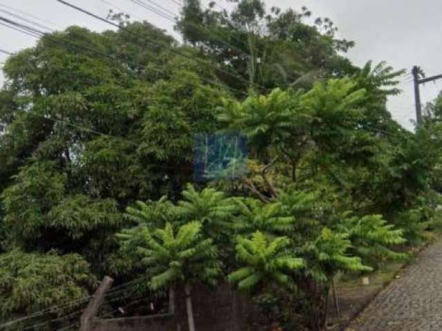 Terreno ao lado do HU, no Bairro Santo Antônio, medindo 2275 m².