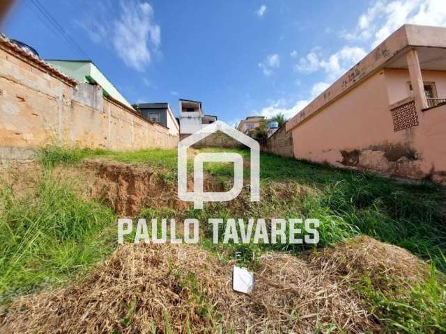 Lote para Venda em Belo Horizonte / MG no bairro Palmeiras