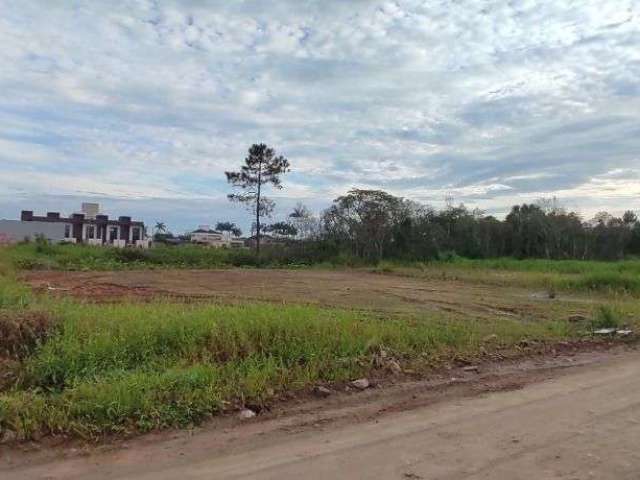 Terreno à venda, 300 m² por R$ 320.000,00 - Praia de Itajuba - Barra Velha/SC