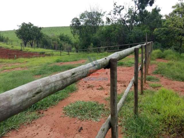 zaQmachado- Chácara 20mil metros quadrados, 15 cocheiras, Casa, Mina d'água