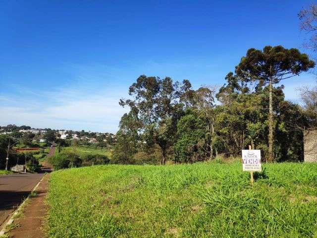 Terreno bairro cascavel velho