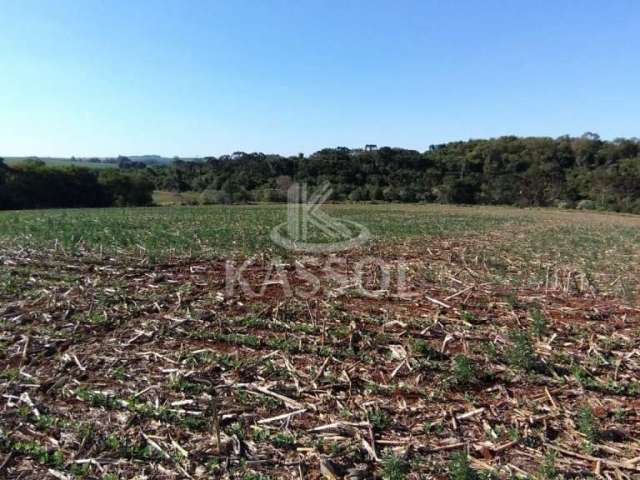 Área rural entre cascavel x sede alvorada 3,5 alqueires mecanizados