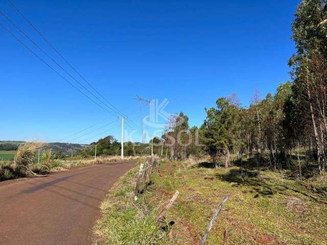 Chácara à venda, SÃO SALVADOR, CASCAVEL - PR, todas asfaltada, luz trifasica