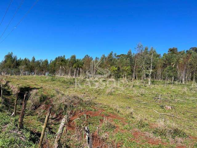 Chácara à venda, SÃO SALVADOR, CASCAVEL - PR, asfatada, 1.000 metros escola