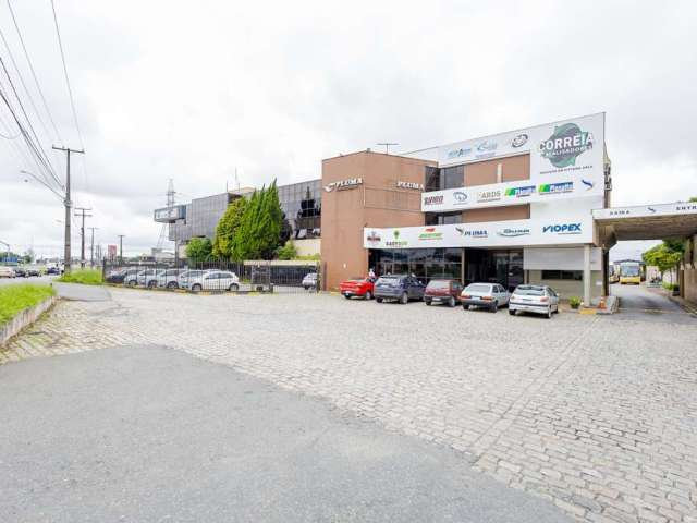 Terreno no Pinheirinho, de 22.904 m² - BR116