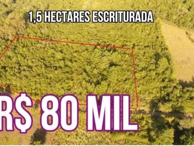 113918 chacrinha escriturada com luz e boas estradas em santo antônio da pat 1,5 hectares