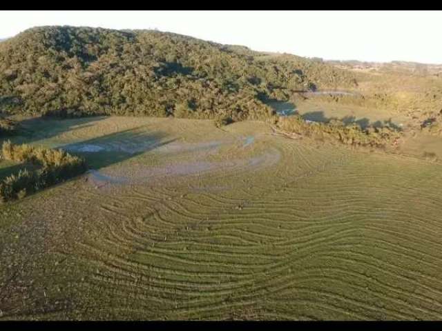 [108009]sítio com açude com peixes e 20 hectares em santo antônio da patrulha