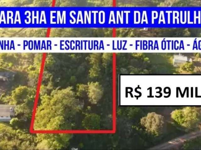 117210 chácara com pomar, casinha, 3 ha, escritura, vertente e água encanada fibra ótica