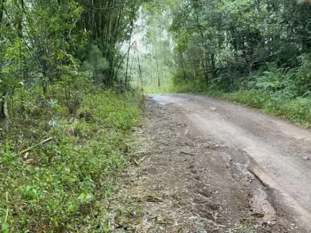 Sítio com vista para lagoa dos barros em santo antônio da patrulha com 7 hectares