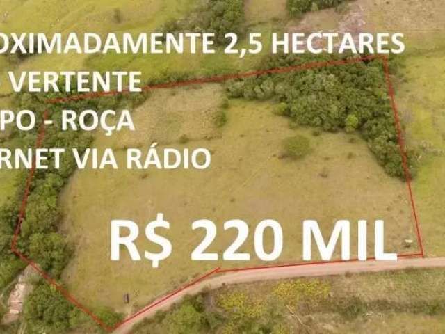 113920 - chácara 2,5 hectares com luz, pasto, roça, luz, mata, vertente e córrego