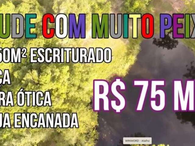 115119 chacrinha escriturada fibra ótica água encanada açude com muito peixe