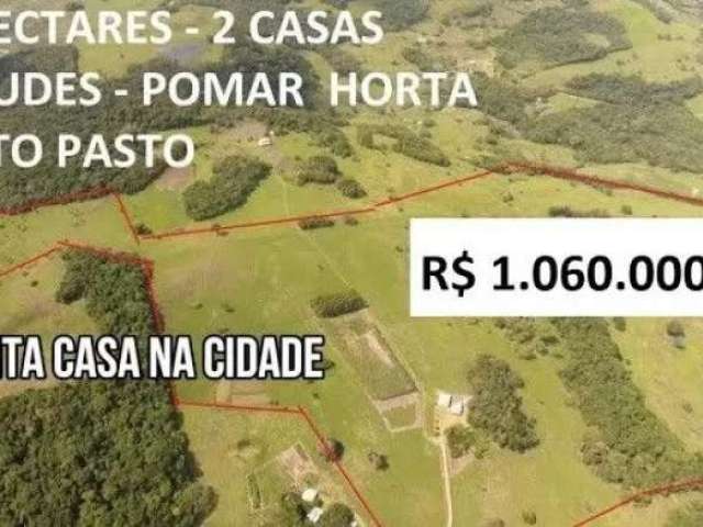 Sítio com casa, galpão, açudes e animais em glorinha com 28 hectares