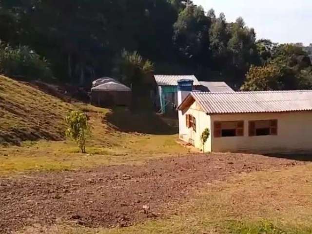 118687 chácara  em rolante 7,23 ha, casa, parreiral, bananal, frutíferas e fibra ótica