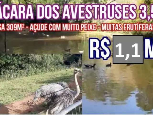 113814 chácara em taquara no rs, casa 309m² piscina, muito pomar, açude com peixes, fibra