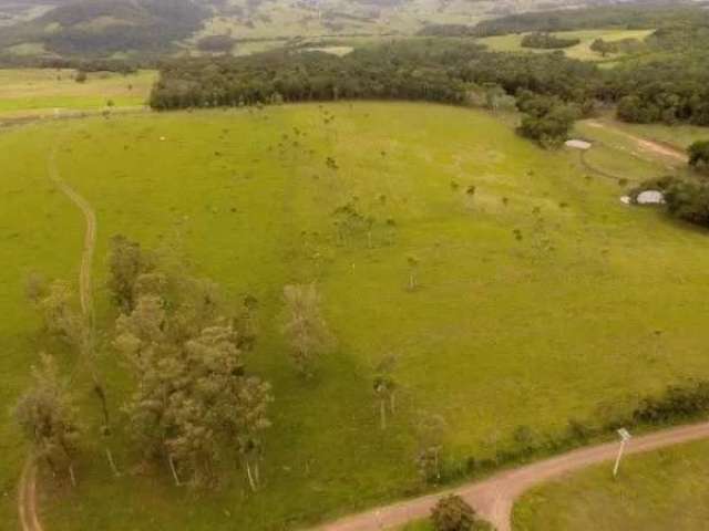 115252 - chácara em taquara com 6 hectares, campo limpo, escriturado, fibra ótica