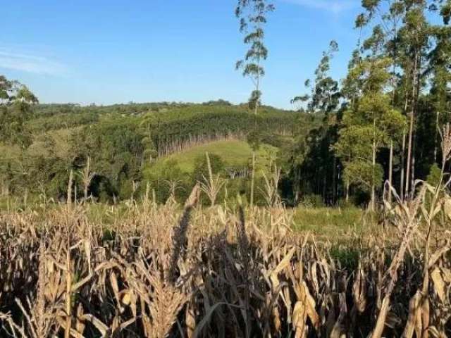 Chácara em taquara com milharal seis hectares, com casa, açude com peixes