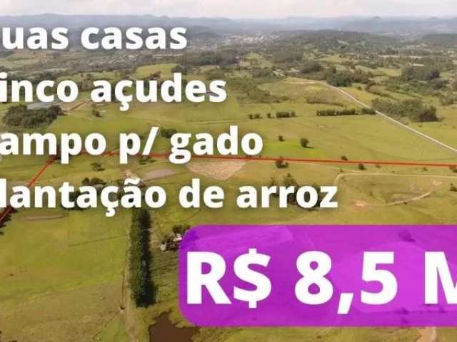 113390 fazenda escriturada para gado, arroz ou loteamento com rio, sede e 101 ha em parobé