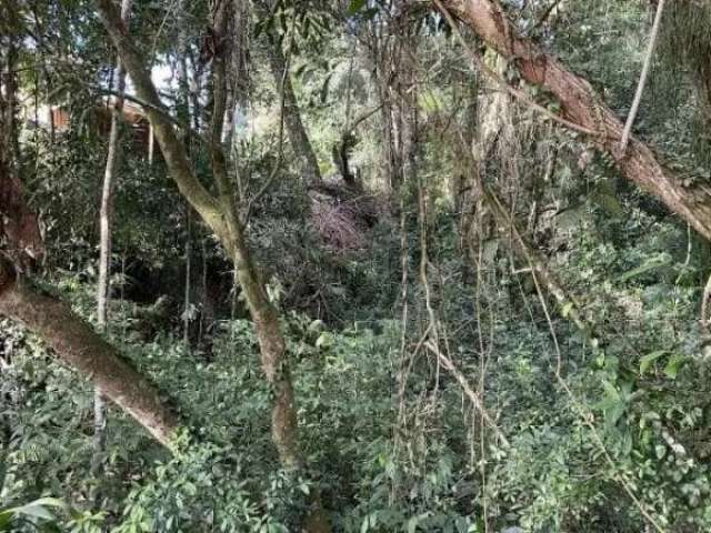 118775 chácara em parobé galpão luz roça pomar mata nativa e fibra ótica