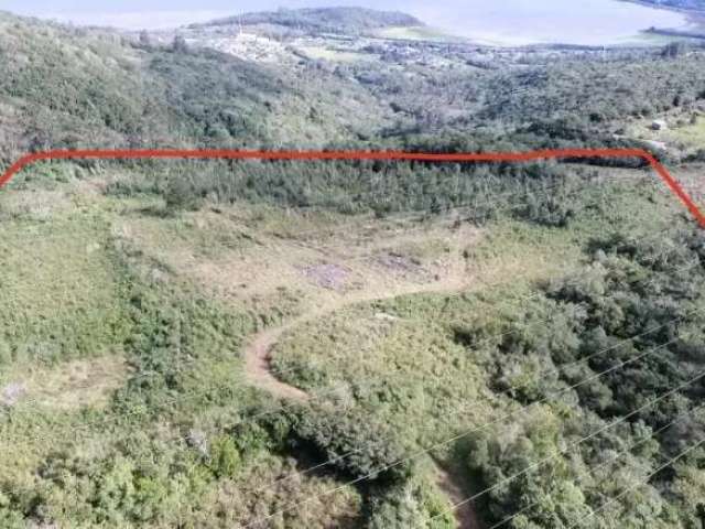 Sítio com bela vista para lagoa em osório com 6 hectares