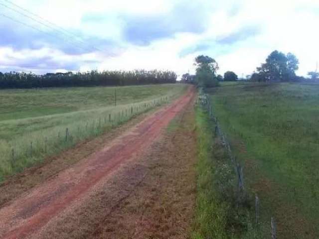 Sítio com terra de alta qualidade em gravataí com 10 hectares