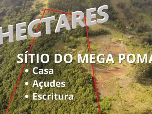 Sítio do mega pomar com quatro açudes, escritura, casa e 9 hectares no caraá