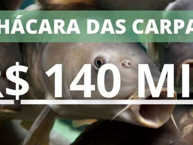 Chácara das carpas escriturada com açude, água encanada e rede elétrica no caraá