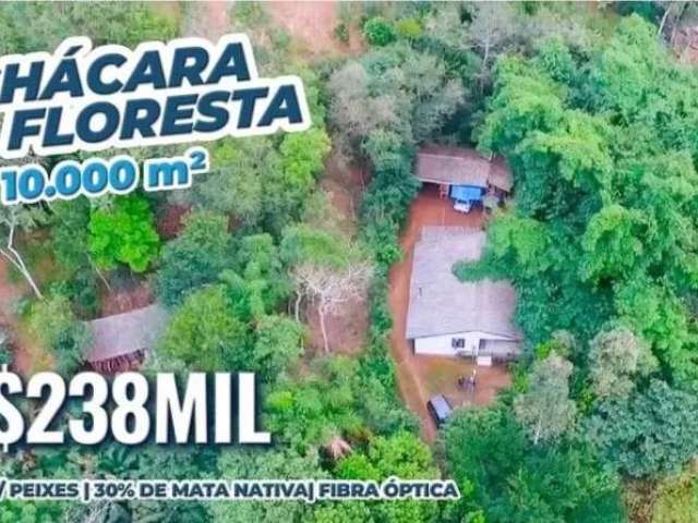 [118449] CHÁCARA DOS BAMBUS 10.000 m²  AÇUDE COM PEIXES MATA NATIVA FIBRA ÓPTICA