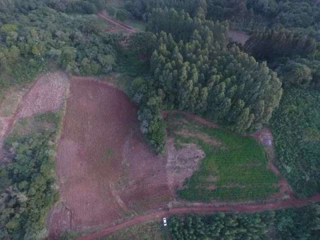 118778 sítio em sapiranga  18ha 3 casas  pomar fibra ótica riacho com cascata fibra ótica