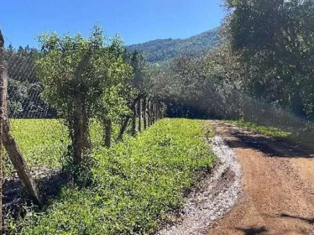 120907 sitio no riozinho escrit 57 hectares, com rio, terra fértil, luz e água encanada