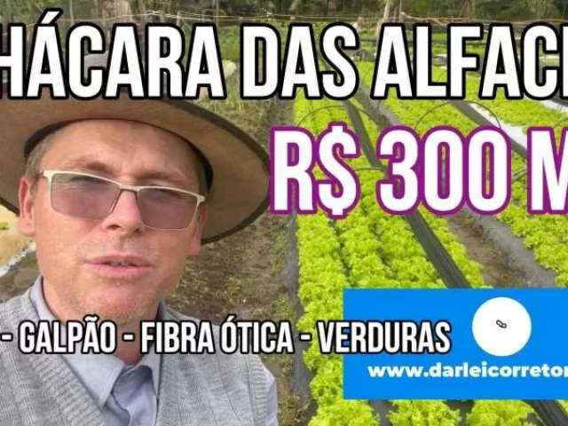 118446 chácara em araricá com casa, poço, vertente, fibra ótica e produção de verduras