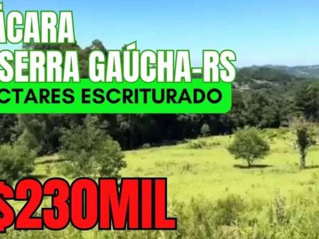 [395] chácara na serra gaúcha 5ha luz fibra ótica escritura pasto mata nativa e vertente