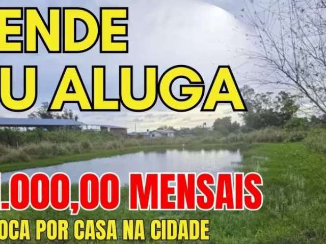 [490]chácara em santo antônio da patrulha vende,aluga ou troca por casa na cidade r$1.000,00mensais