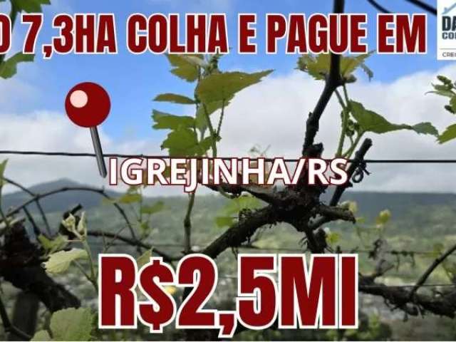 [595]sítio em igrejinha 7,3ha com pesque, colha e pague, casa, piscina, muito pomar, cantina de vinho