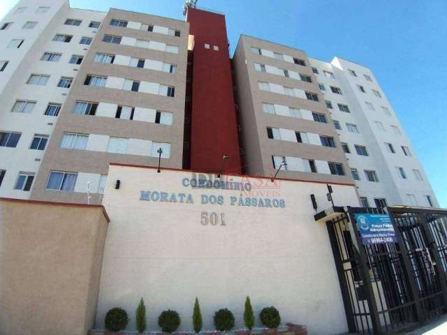 Apartamento em Parque São Lourenço