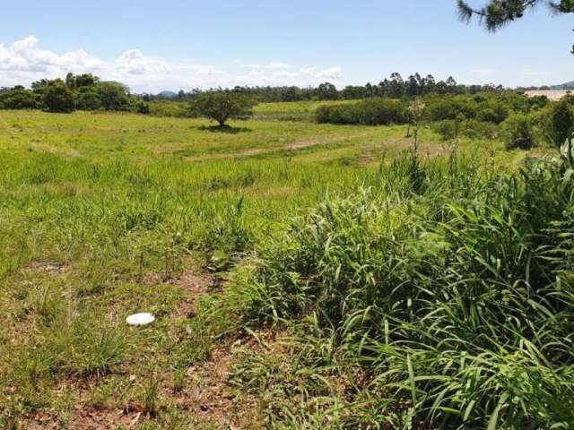 Terreno Comercial para compra no bairro Lageado em Porto Alegre | Lindo terreno na Avenida Edgar Pires de Castro, com ótima localização e fácil acesso. Venha conhecer!