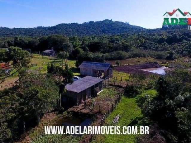 Sítio de 2 hectares no Lami. Ótimo sítio de 2 hectares perto do asfalto, ônibus, escola e comércio local. Galpão campeiro, galinheiro, 2 açudes com peixes, roça e mata nativa com lindas figueiras. Loc