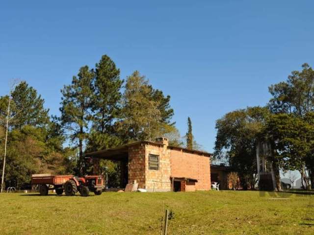 Ótimo sítio à venda em Estância Grande, Viamão - RS. Casa com 3 quartos, 1 suíte e 4 banheiros. Área total de 6000m². Atualmente tem em funcionamento um hotel para cães. Entre em contato para mais inf