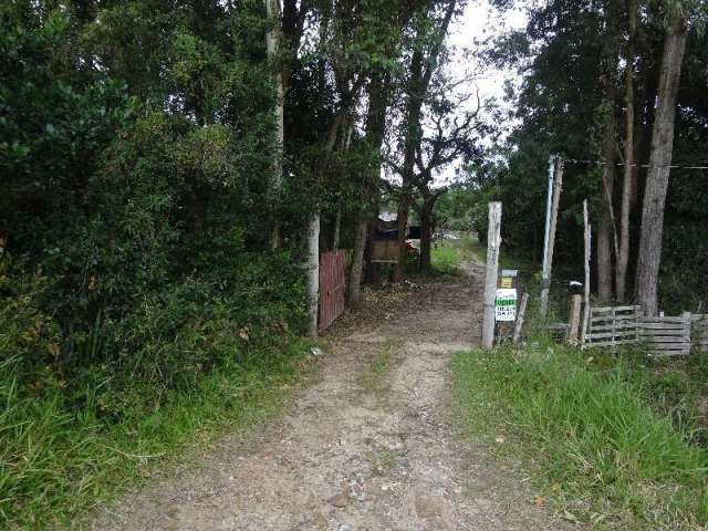 Excelente área para um sitio, ou para um condomínio.&lt;BR&gt;area plana com 14.50 hectares.&lt;BR&gt;ao perca tempo, ligue e marque com nossos corretores sua visita.venha conhecer