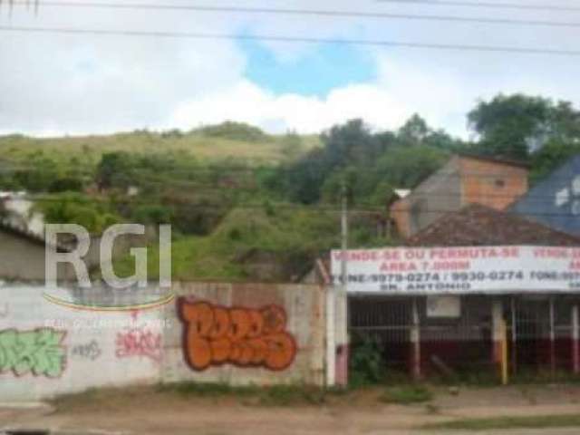 TERRENO, BAIRRO AGRONOMIA EM PORTO ALEGRE.&lt;BR&gt;Excelente terreno para investidores residencial/comercial, em Porto Alegre, área total 7000 m², bem localizado.Ligue e confira!