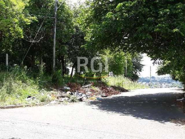 TERRENO PLANO NO BAIRRO ALTO PETRÓPOLIS EM PORTO ALEGRE. Excelente oportunidade para construtoras e investidores, ótimo terreno de esquina na Rua São Marcos junto a Av. Protásio Alves, com 19,80X49,50