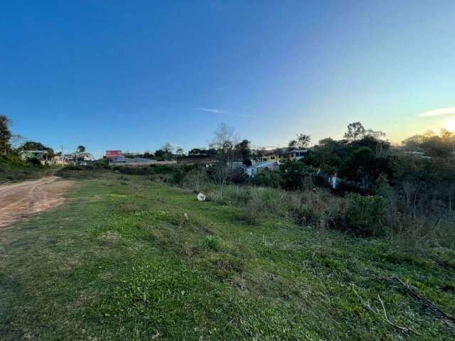 Área Urbana, com 2.9 hectares, casa, acesso pelo asfalto e com comércios próximos. Valor a vista e em dinheiro , aceita carro ou casa de menor valor no negócio porém com ajuste de valores.